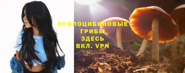 тгк Каменск-Шахтинский