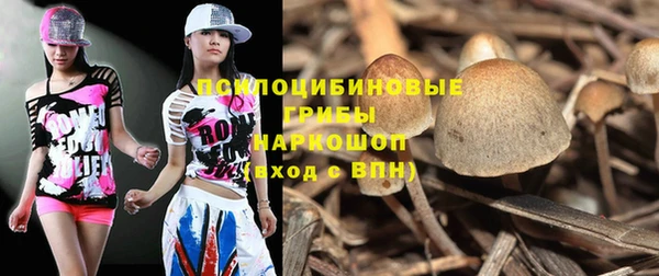 тгк Каменск-Шахтинский