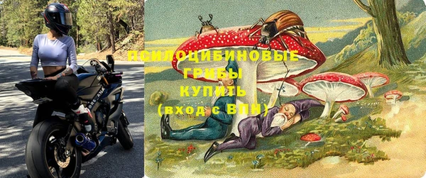 apvp Каменногорск