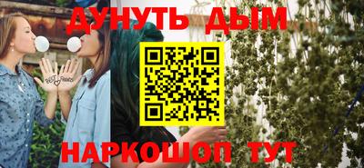 шишки Обь