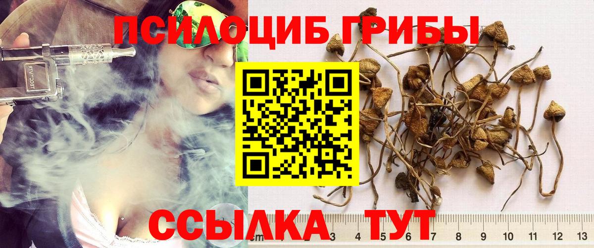 Псилоцибиновые грибы мицелий  Вход с VPN  Октябрьский  купить наркоту  Галлюциногенные грибы GOLDEN TEACHER 