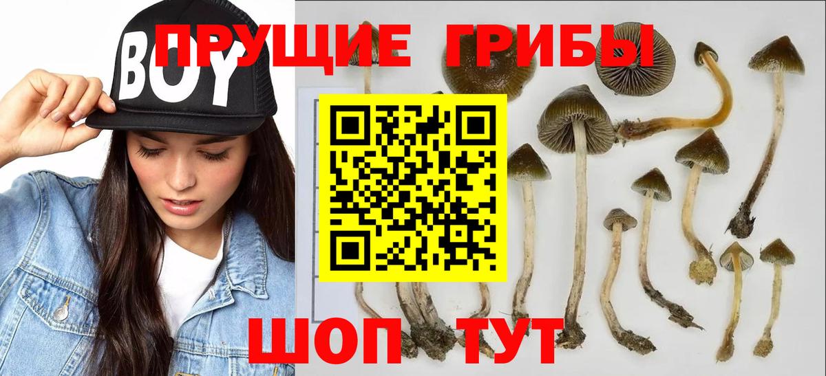 Октябрьский  Псилоцибиновые грибы мухоморы  Вход с VPN 